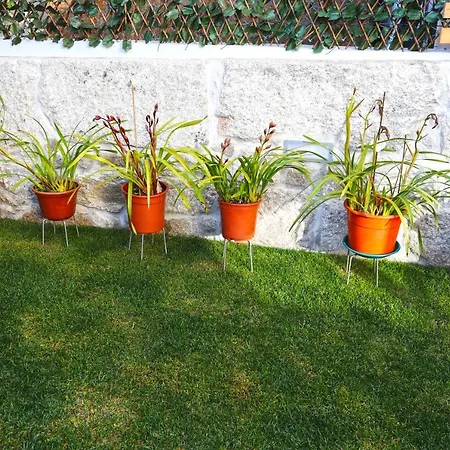 Lusitana מלון פורטו